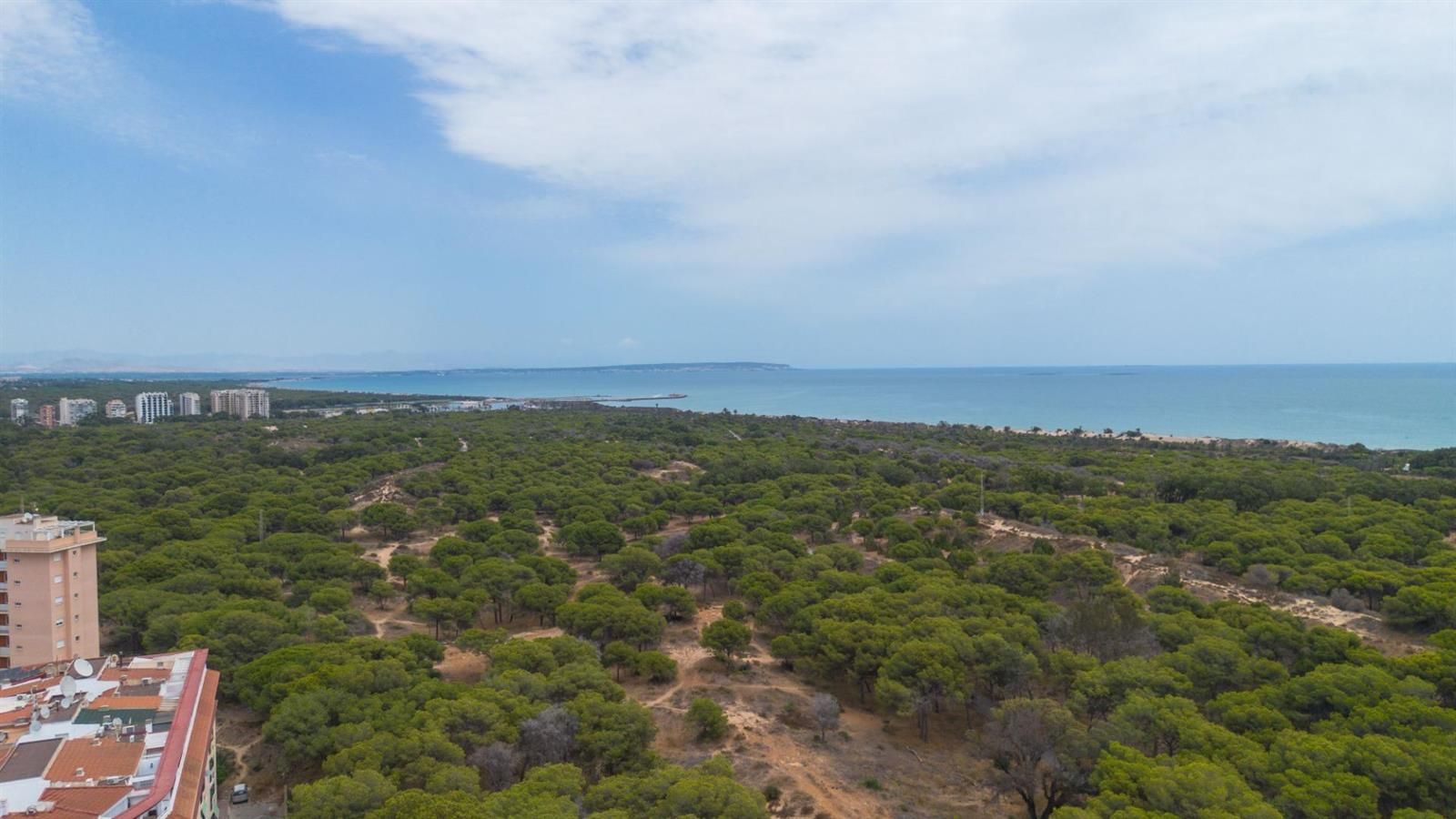 Apartamento en Guardamar del Segura a 800 metros de la playa · foto 26