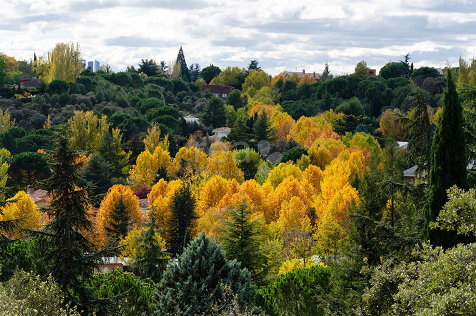 Parcela en venta San Sebastián de Los Reyes, Madrid. Ref: 3663. Rea Inmobiliaria