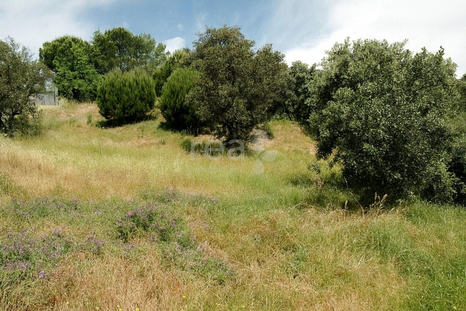 Parcela en venta San Sebastián de Los Reyes, Madrid. Ref: 6501. Rea Inmobiliaria