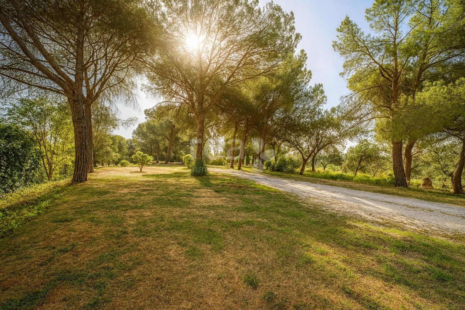 Plot for sale Alcobendas, Madrid. Ref: 7618. Rea Inmobiliaria