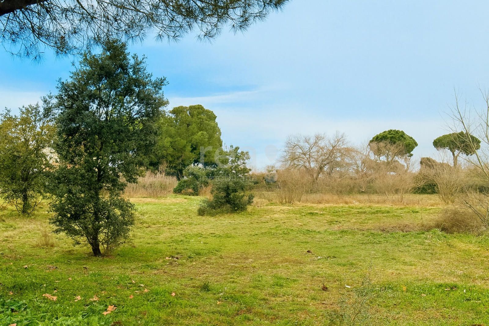 Plot for sale San Sebastián de Los Reyes, Madrid. Ref: 9203. Rea Inmobiliaria