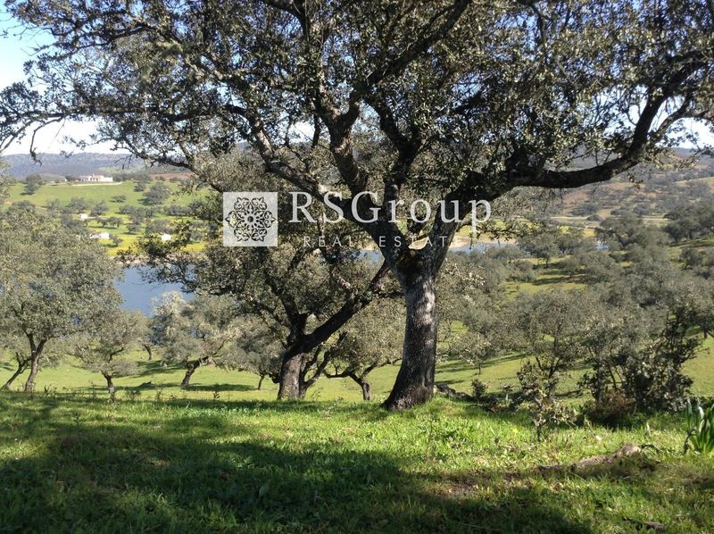 Parcela en venta Santa Olalla Del Cala, Huelva. Ref: 1056. RS Group Real Estate